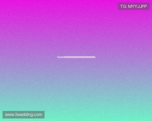 boose直聘电脑版下载官方渠道安全安装使用指南详细教程新手